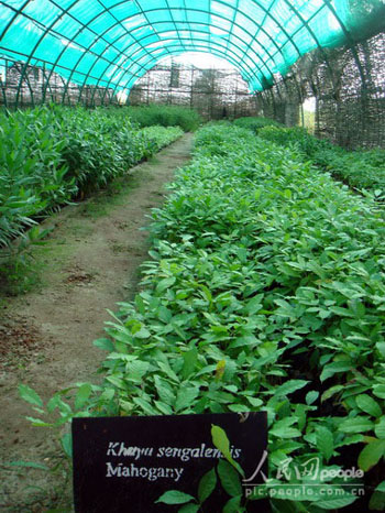 中石油在苏丹:树起负责任的国际大公司形象--中